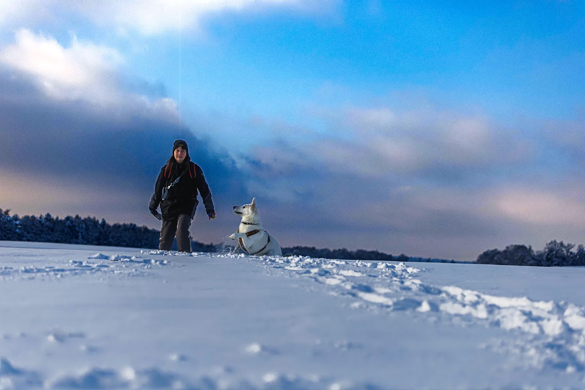 Mensch und weißer Hund gemeinsam in einer stillen Winterlandschaft