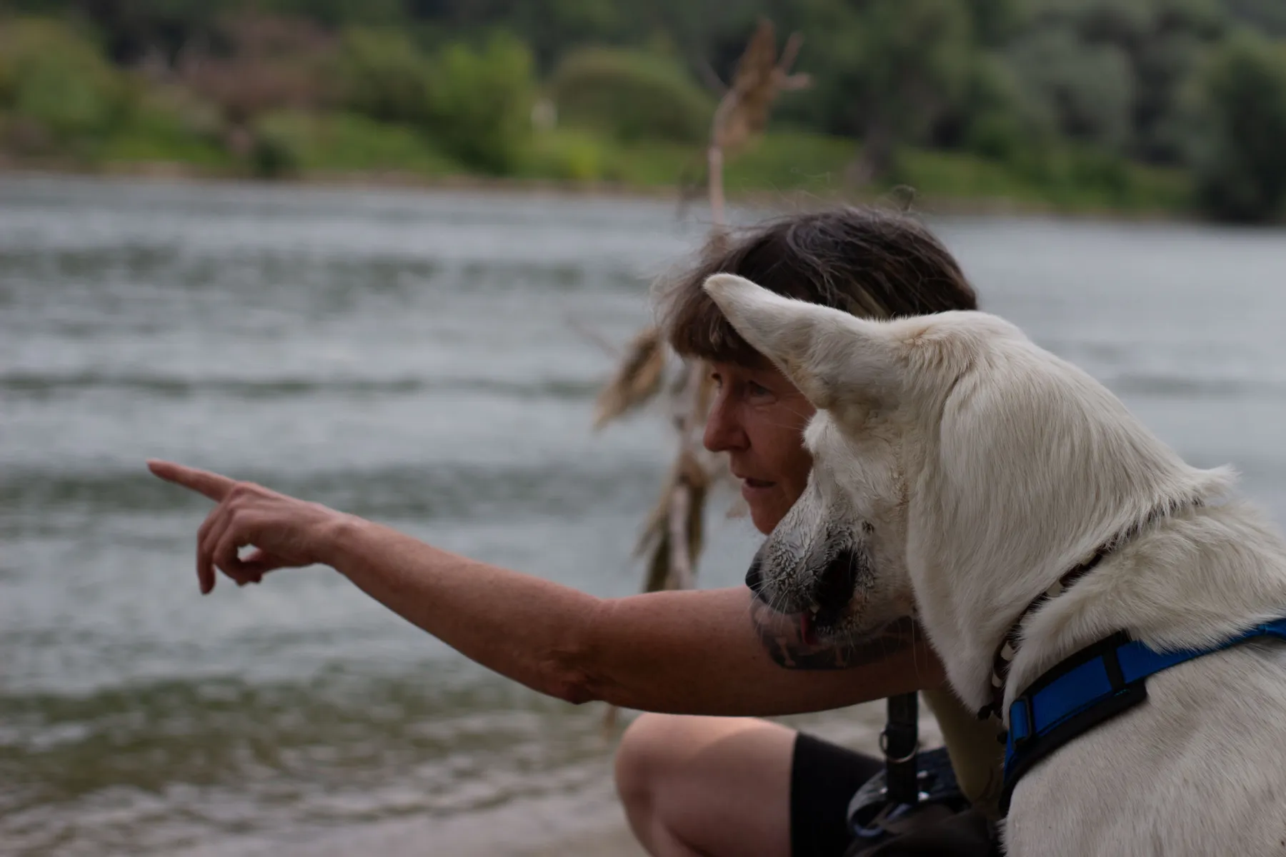 Mensch und Hund teilen einen ruhigen Moment am Wasser