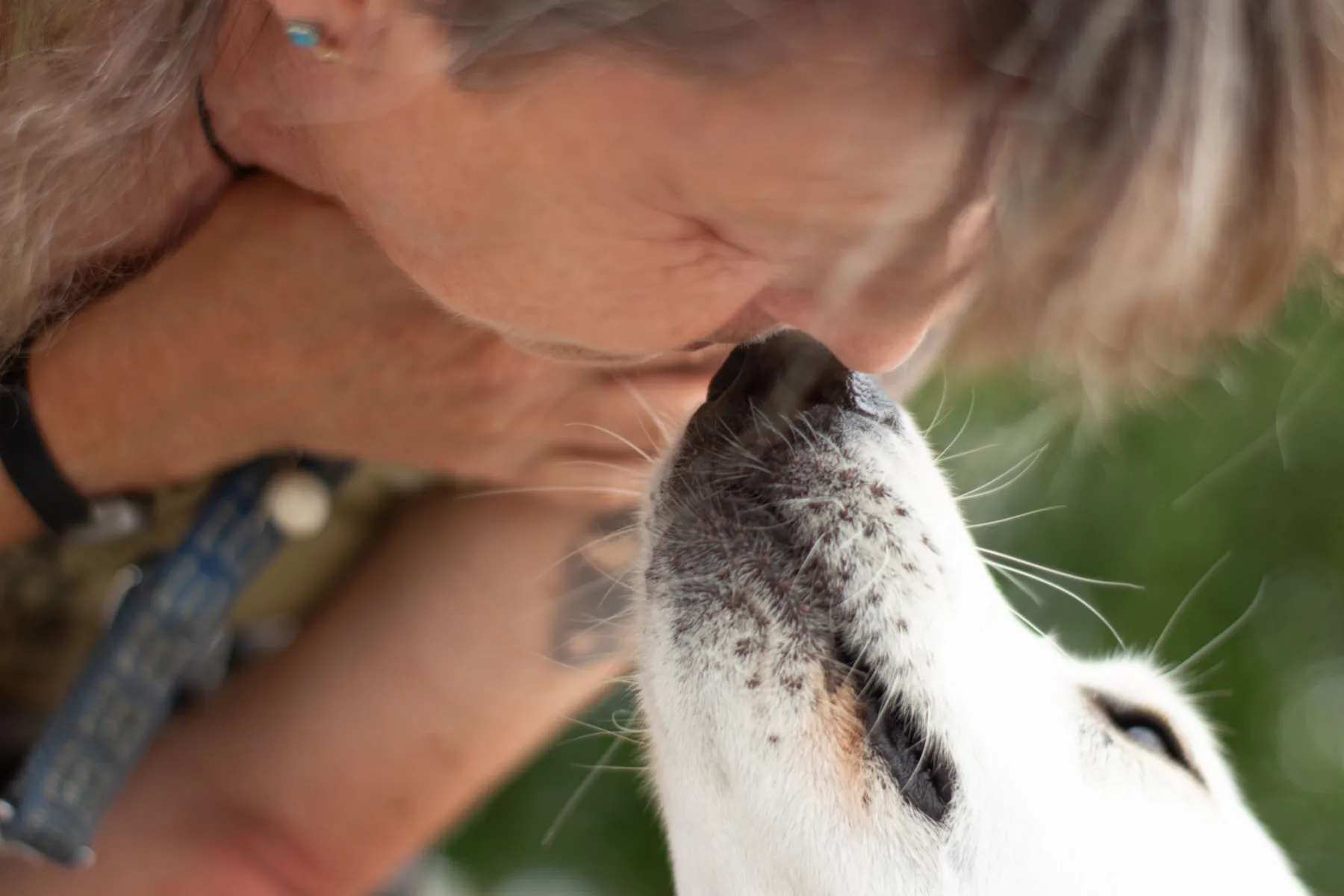 Frau und Hund berühren sich vertraut mit der Nase