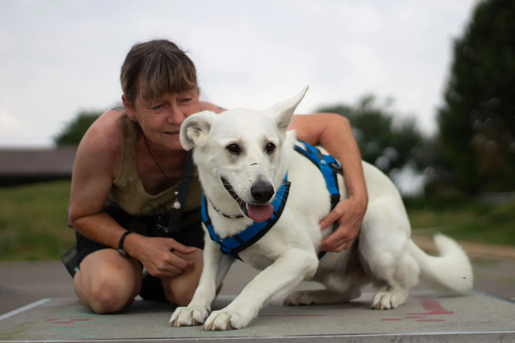 Frau hält ihren weißen Hund vertraut im Arm